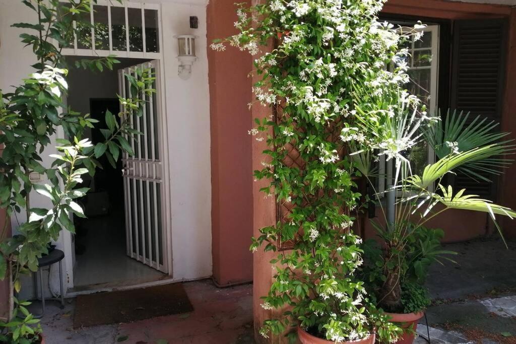Apartmán La Casa Della Mia Famiglia Řím Exteriér fotografie