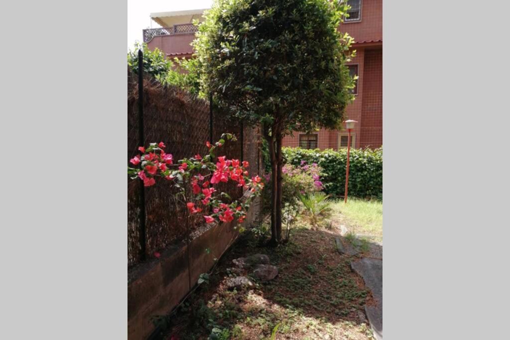 Apartmán La Casa Della Mia Famiglia Řím Exteriér fotografie
